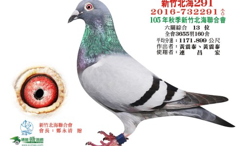 银藤功效和作用是什么-银藤功效网中药银藤别名知识网站,分享银藤别名的功效和作用大全